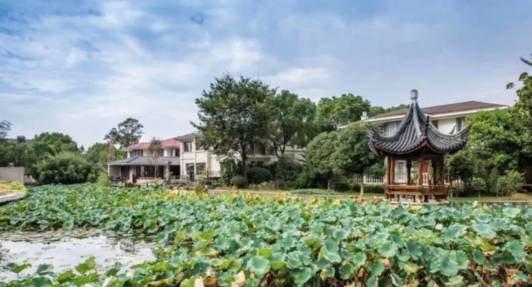 【苏州阳澄湖】阳澄湖设计师湖景别墅13店 实景图