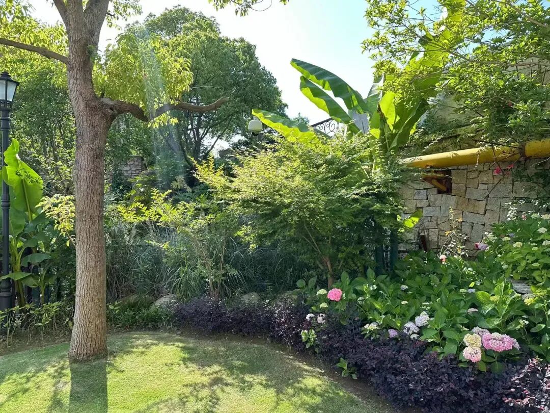 【崇明】极简风轻奢九室独栋花园度假别墅 10店 实景图
