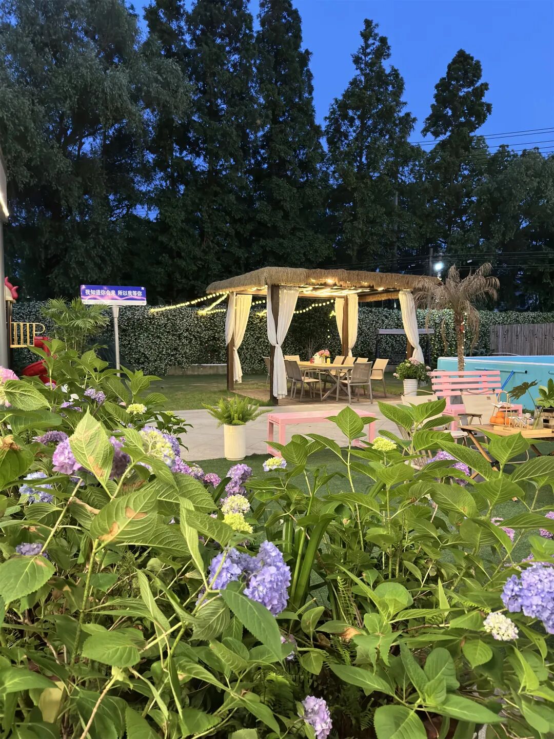 【崇明】独栋花园别墅 /篝火 露天电影 露营 11店 实景图