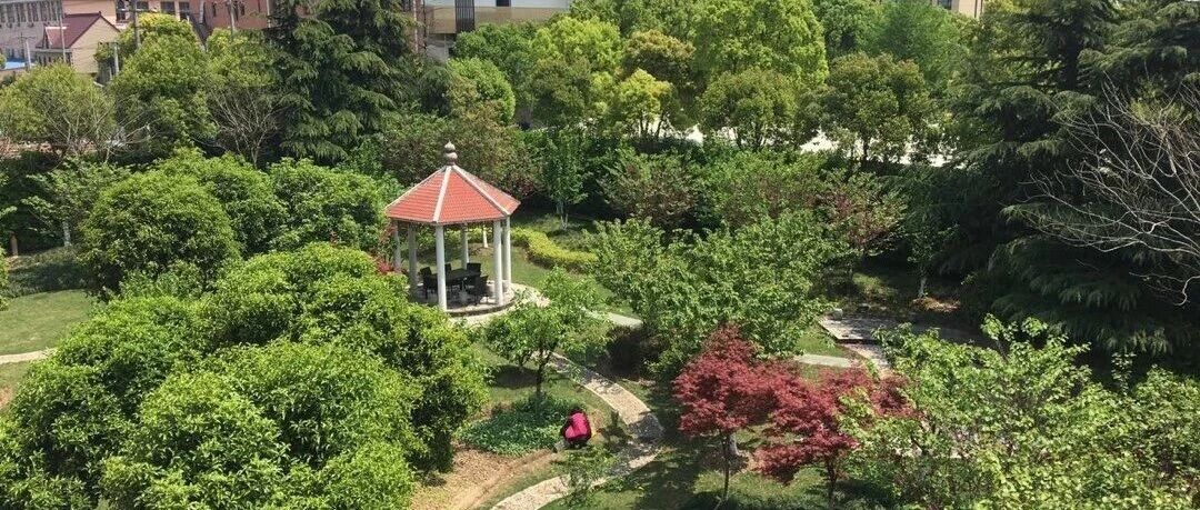 【上海浦东】草坪花园别墅20店