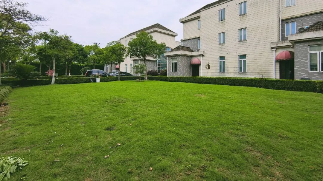 【上海浦东】草坪花园别墅20店 实景图