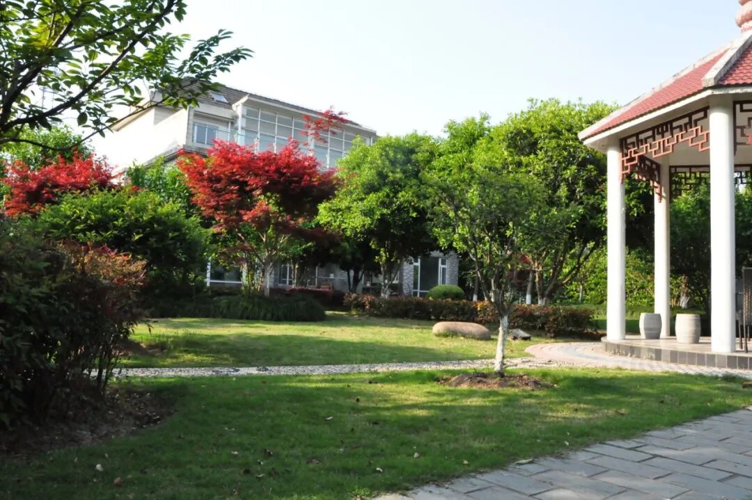 【上海浦东】草坪花园别墅20店 实景图