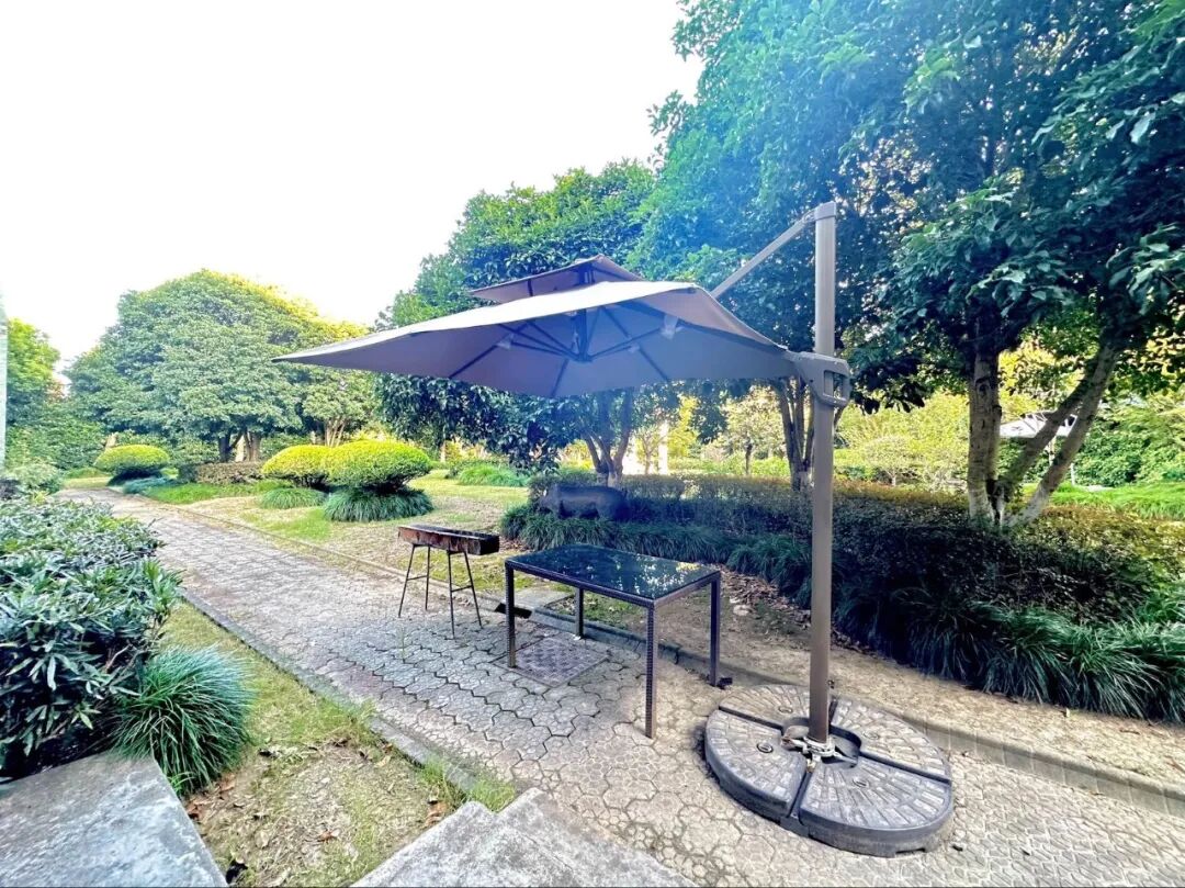 【上海浦东】草坪花园别墅20店 实景图
