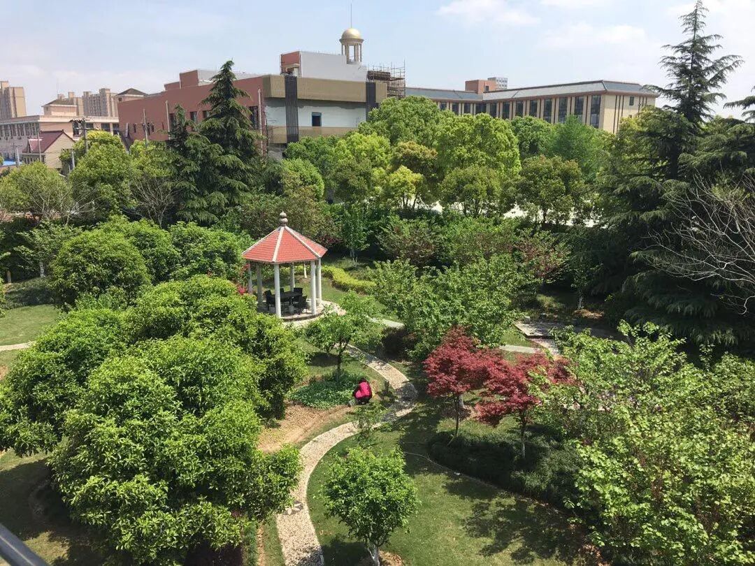 【浦东新区】草坪花园别墅61店 实景图