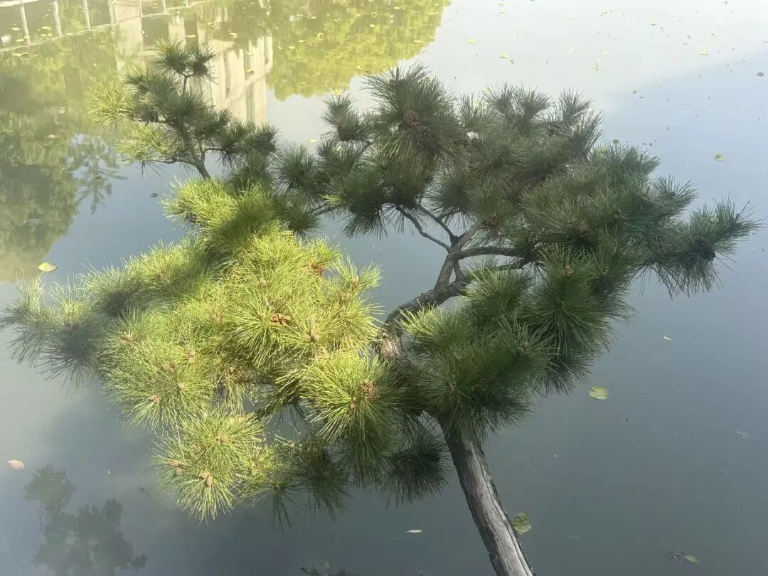 【上海青浦】湖上19店 实景图