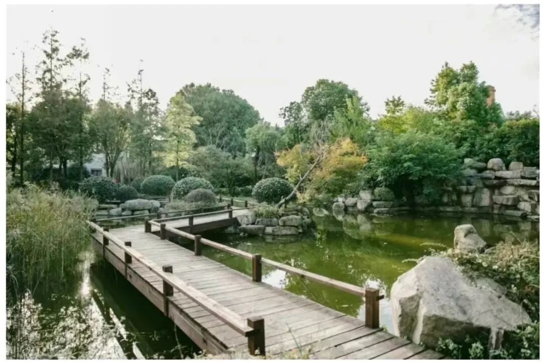 【上海松江】山庄19店 实景图