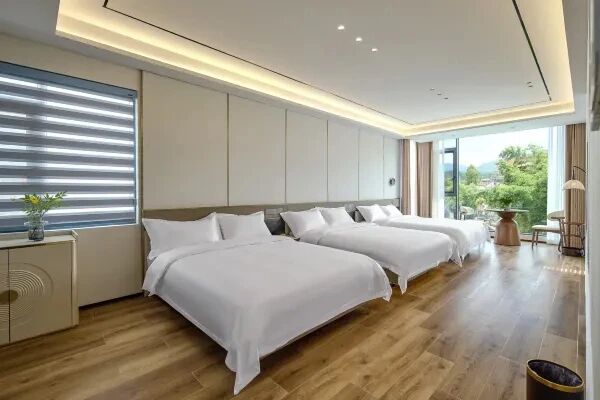 【浙江安吉】悠眠5房29店 实景图