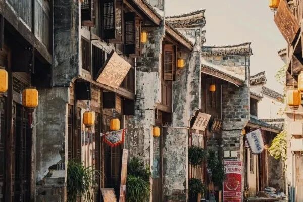 【浙江安吉】竹篱 6房37店 实景图