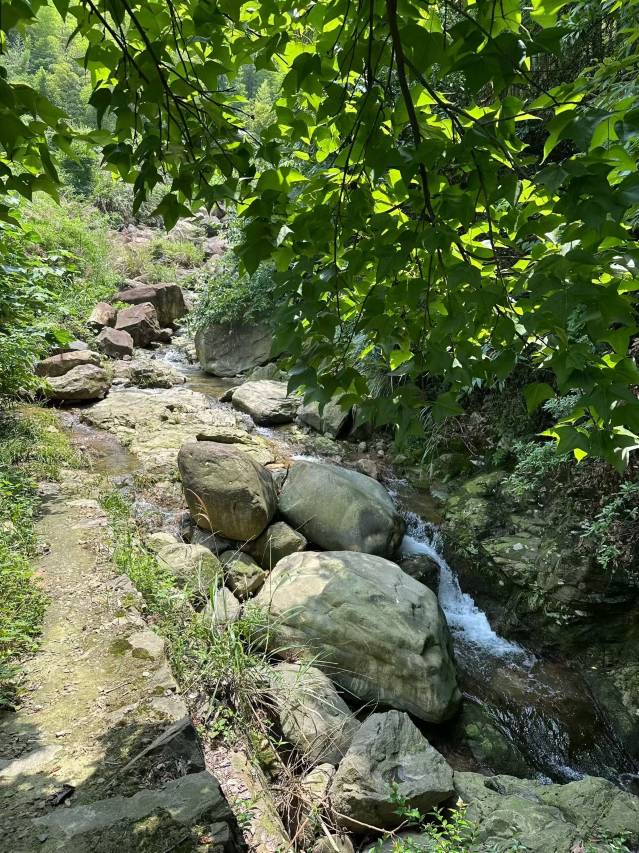 溪溪里XIXL·山野私汤·设计师美宿(安吉龙王山漂流店) 实景图