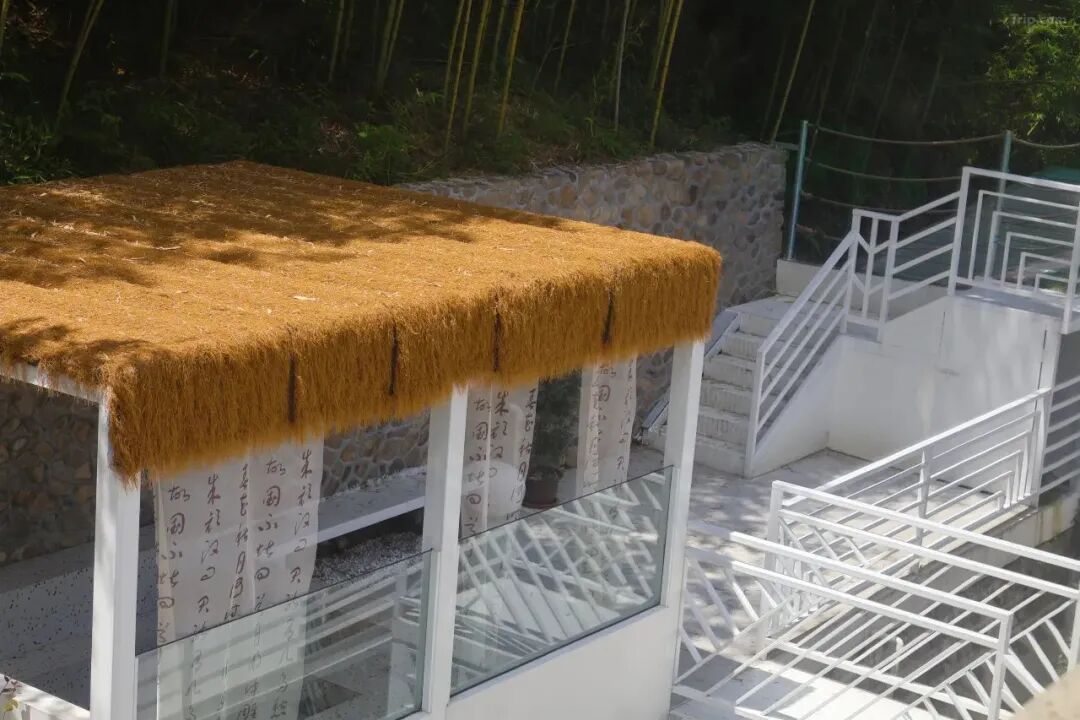 【湖州莫干山】山野自在17店 实景图