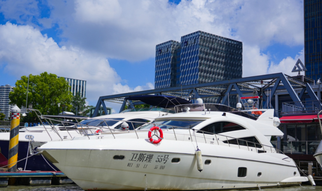 卫斯理 55尺 实景图